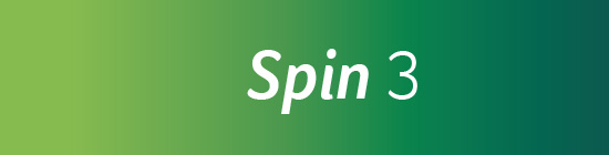Logo Spin 3