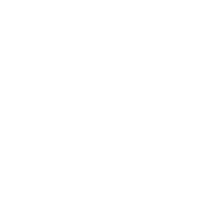 Icono 2x2