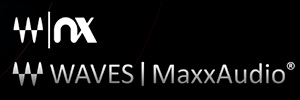 Logo Waves