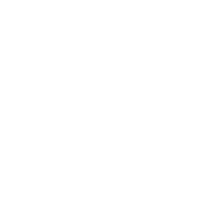Icono mumimo