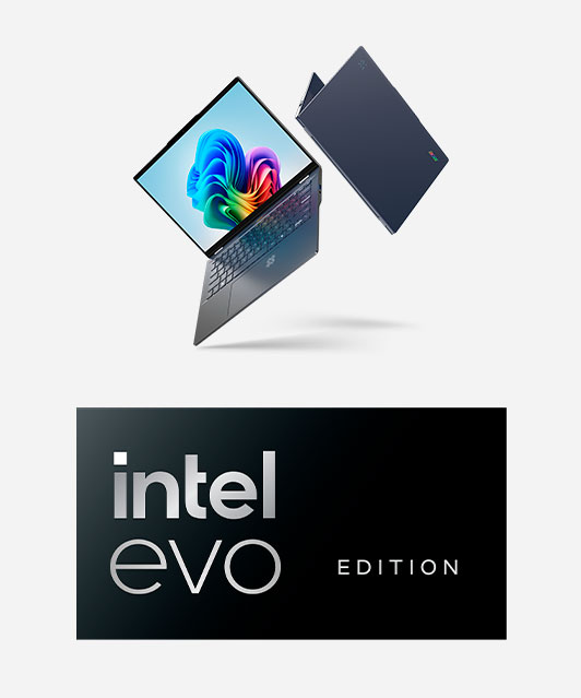 imagen-intel-evo